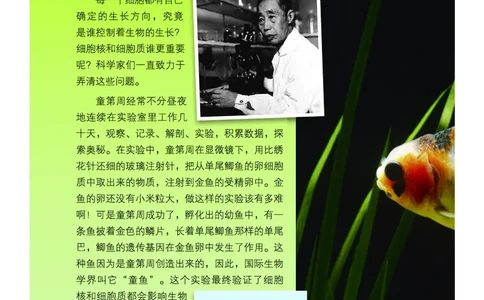 教科版3年级科学下册高清教材_全部版本&bull;小学科学电子课本_教科版小学科学电子课本