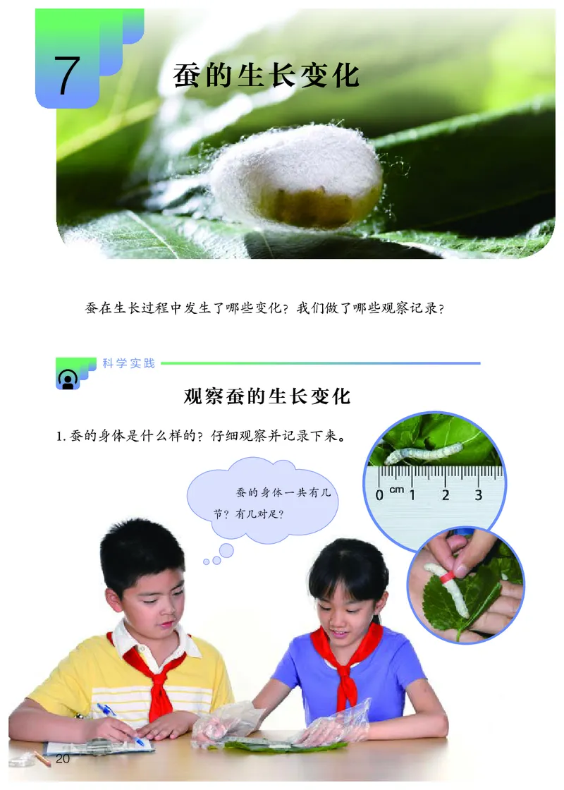 人教版4年级科学下册高清教材_全部版本&bull;小学科学电子课本_人教版小学科学电子课本