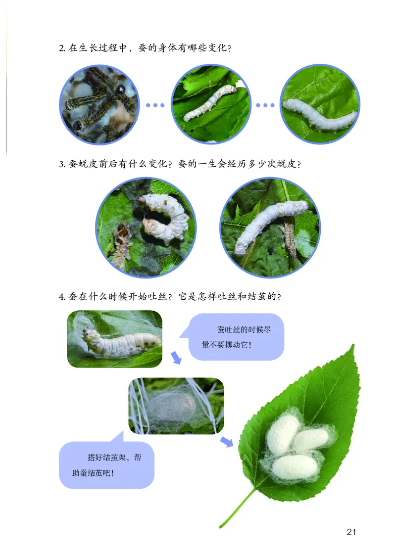人教版4年级科学下册高清教材_全部版本&bull;小学科学电子课本_人教版小学科学电子课本