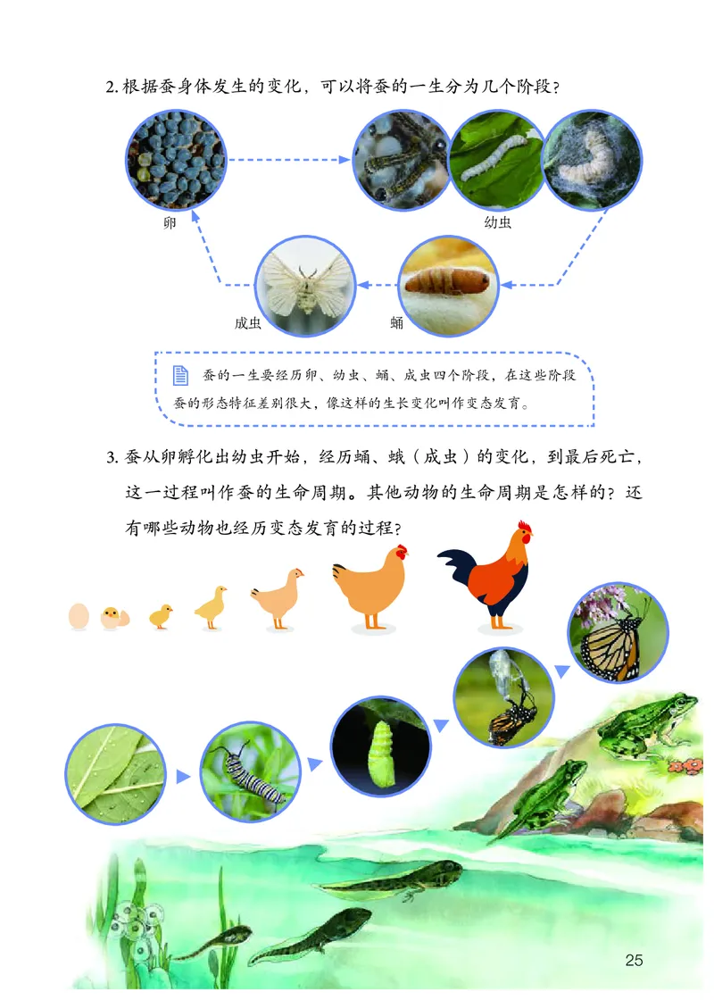 人教版4年级科学下册高清教材_全部版本&bull;小学科学电子课本_人教版小学科学电子课本