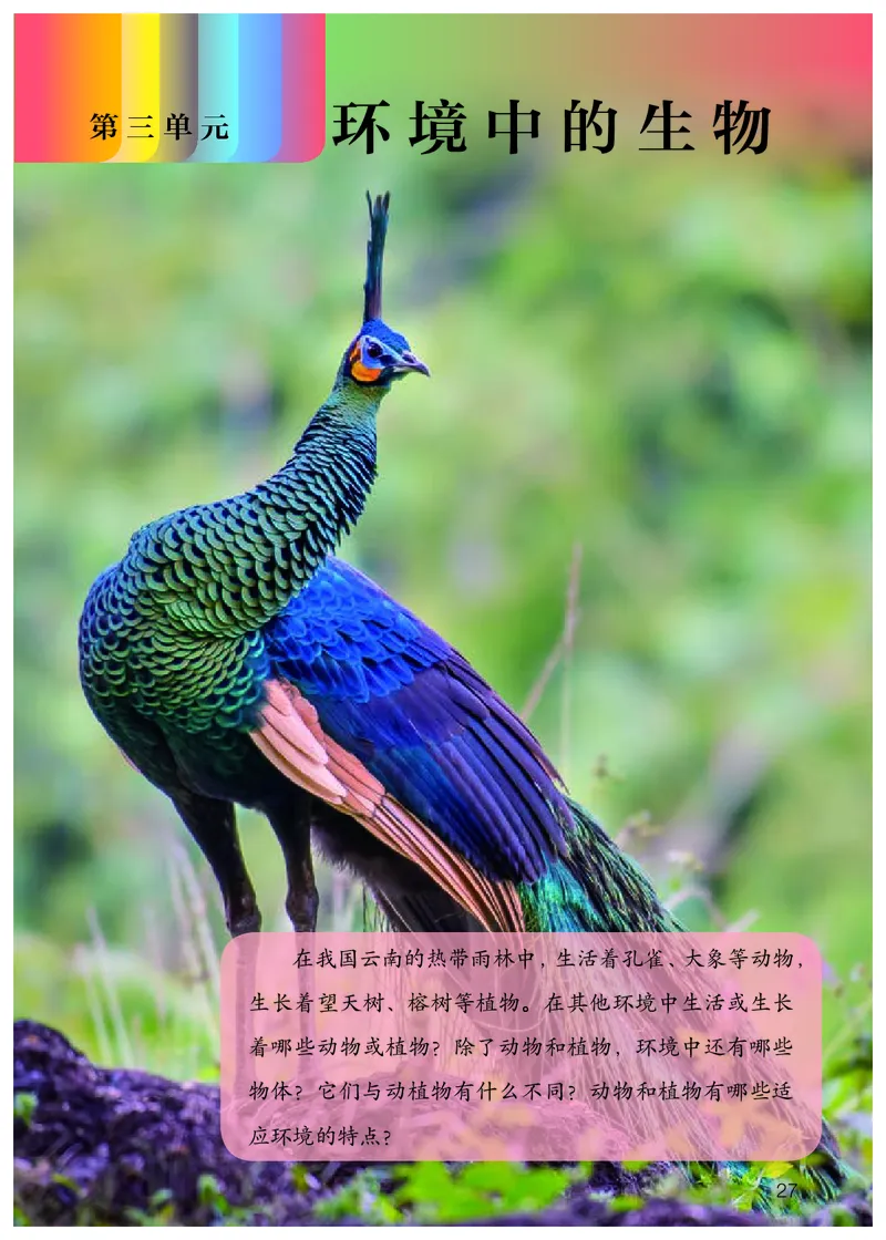 人教版4年级科学下册高清教材_全部版本&bull;小学科学电子课本_人教版小学科学电子课本