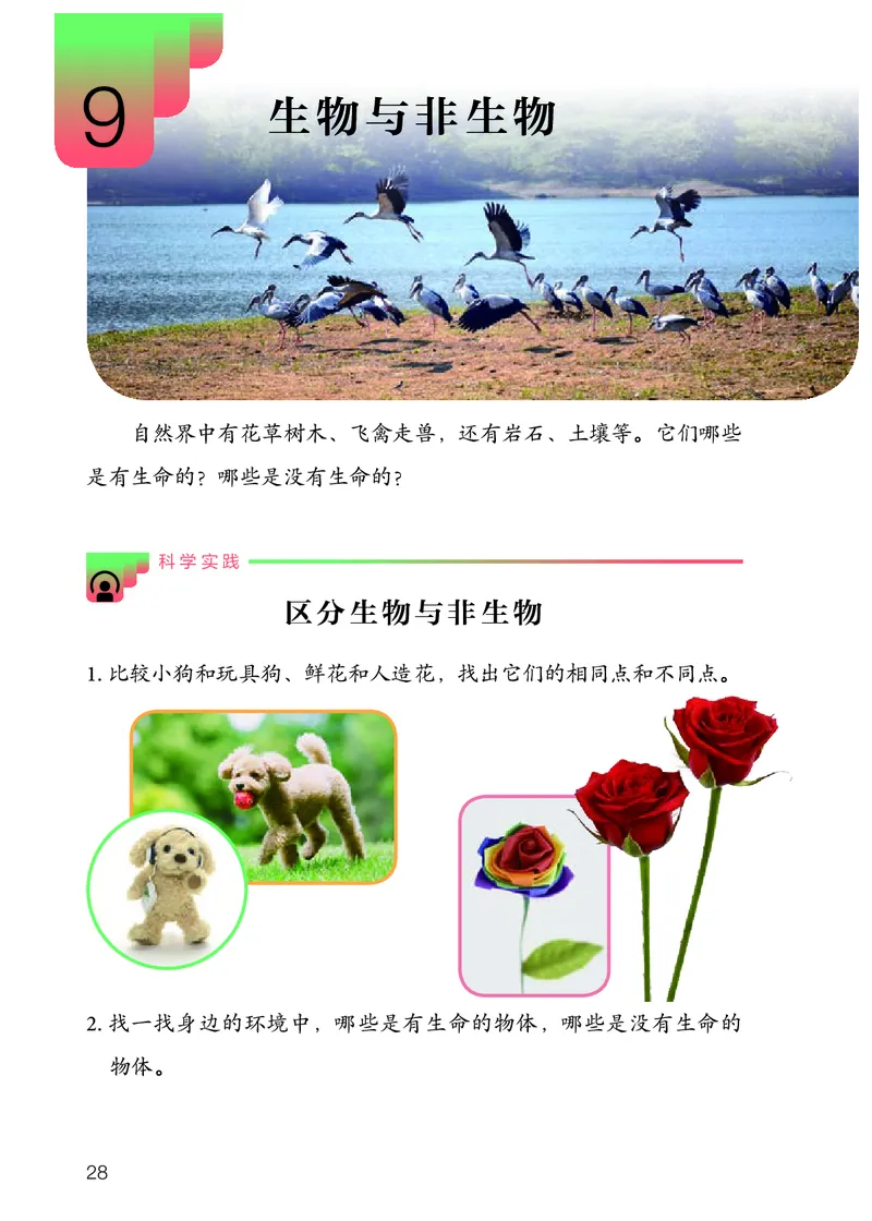 人教版4年级科学下册高清教材_全部版本&bull;小学科学电子课本_人教版小学科学电子课本