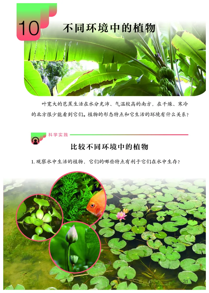 人教版4年级科学下册高清教材_全部版本&bull;小学科学电子课本_人教版小学科学电子课本