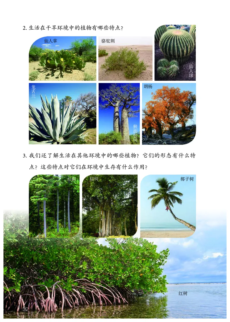 人教版4年级科学下册高清教材_全部版本&bull;小学科学电子课本_人教版小学科学电子课本