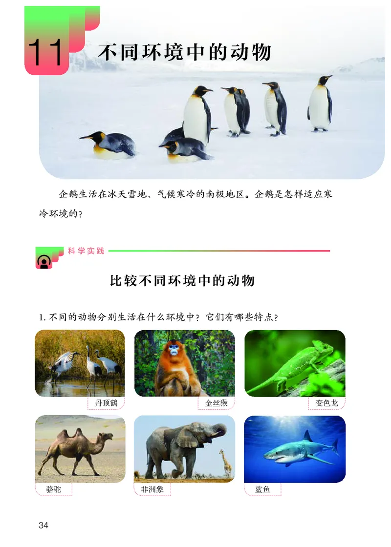 人教版4年级科学下册高清教材_全部版本&bull;小学科学电子课本_人教版小学科学电子课本