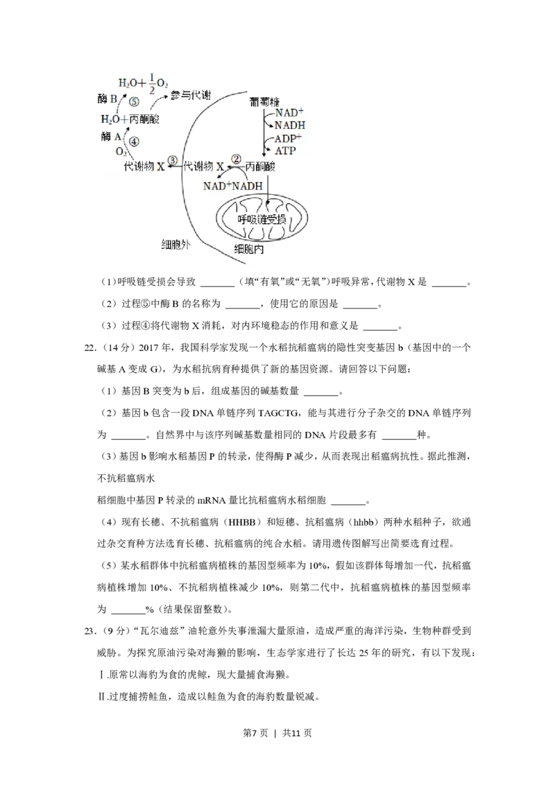 2021年高考生物试卷（重庆）（空白卷）_生物历年高考真题_新&middot;PDF版2008-2025&middot;高考生物真题_生物（按省份分类）2008-2025_2012-2024&middot;（重庆）生物高考真题