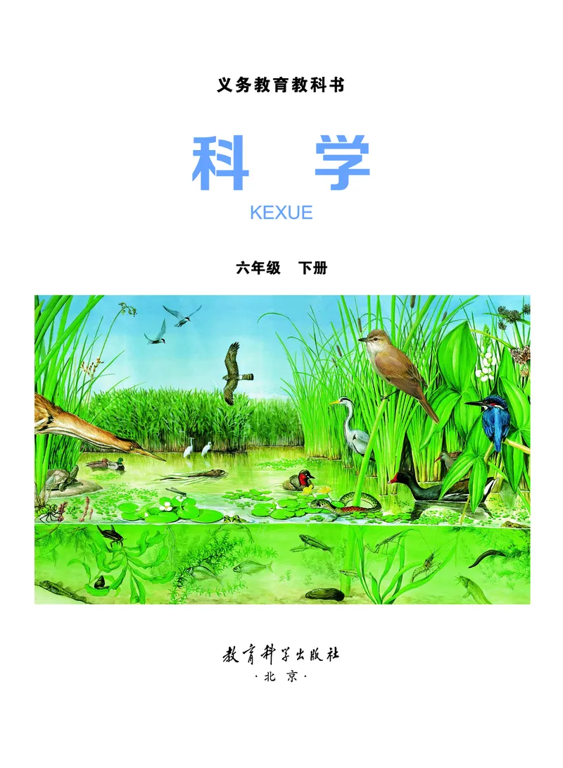 教科版6年级科学下册高清教材_全部版本&bull;小学科学电子课本_教科版小学科学电子课本