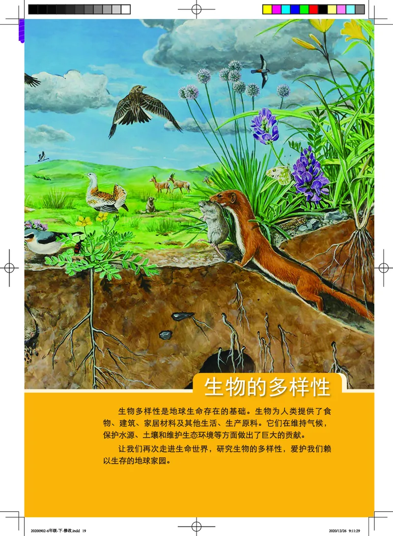 教科版6年级科学下册高清教材_全部版本&bull;小学科学电子课本_教科版小学科学电子课本