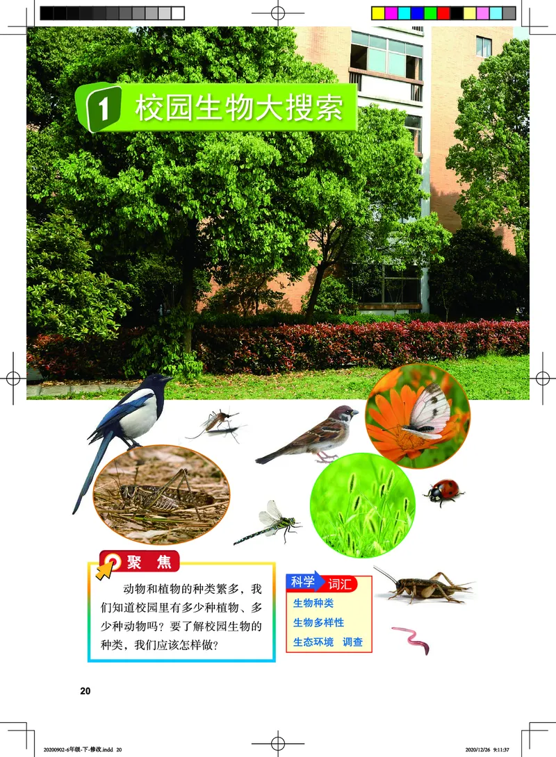 教科版6年级科学下册高清教材_全部版本&bull;小学科学电子课本_教科版小学科学电子课本