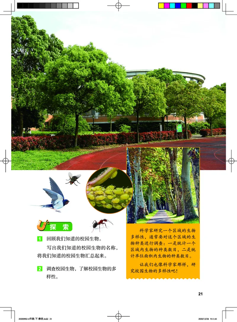 教科版6年级科学下册高清教材_全部版本&bull;小学科学电子课本_教科版小学科学电子课本