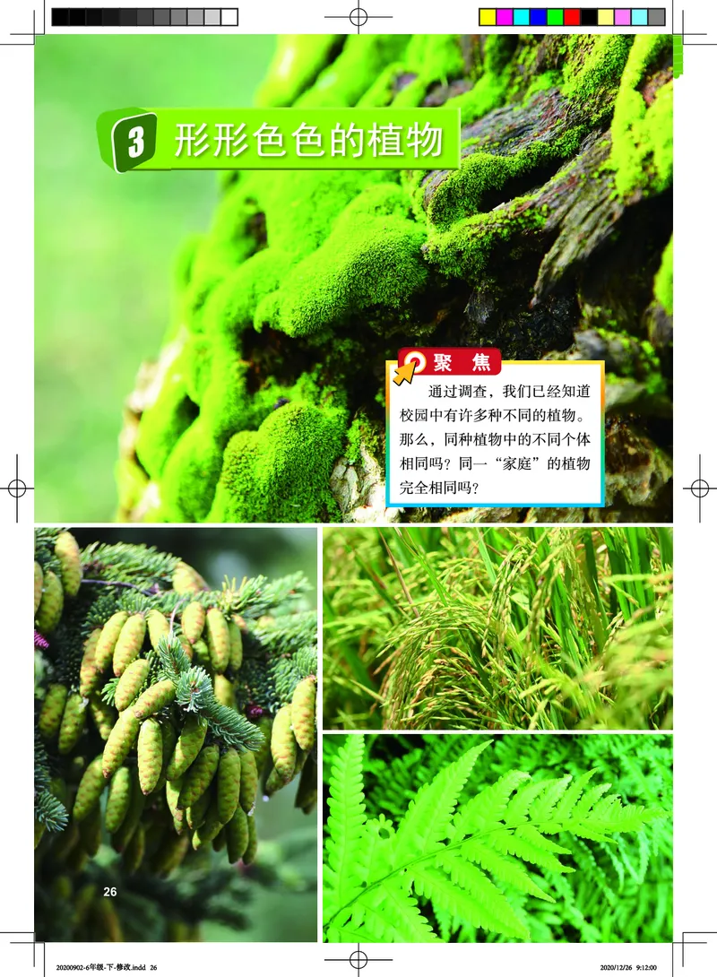 教科版6年级科学下册高清教材_全部版本&bull;小学科学电子课本_教科版小学科学电子课本