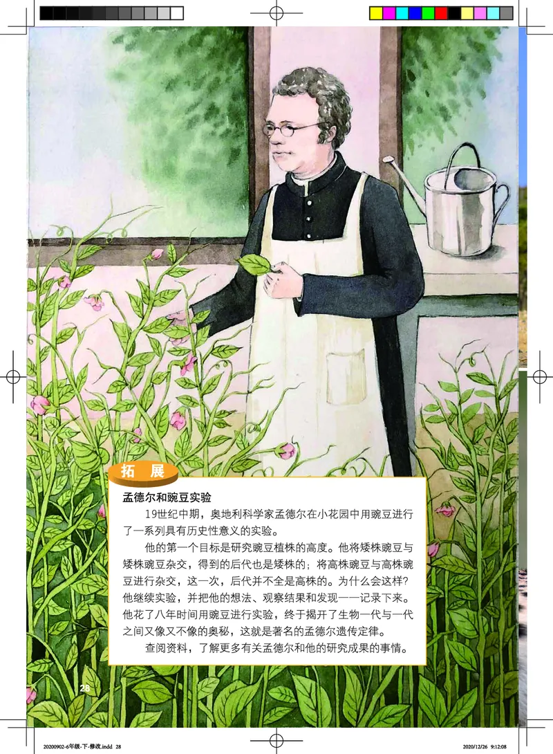 教科版6年级科学下册高清教材_全部版本&bull;小学科学电子课本_教科版小学科学电子课本