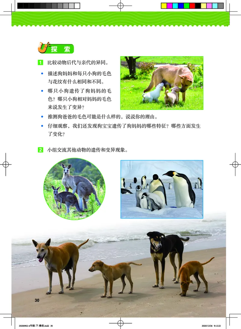 教科版6年级科学下册高清教材_全部版本&bull;小学科学电子课本_教科版小学科学电子课本