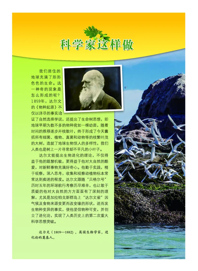 教科版6年级科学下册高清教材_全部版本&bull;小学科学电子课本_教科版小学科学电子课本