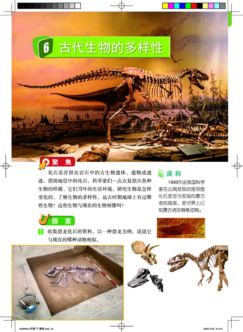 教科版6年级科学下册高清教材_全部版本&bull;小学科学电子课本_教科版小学科学电子课本