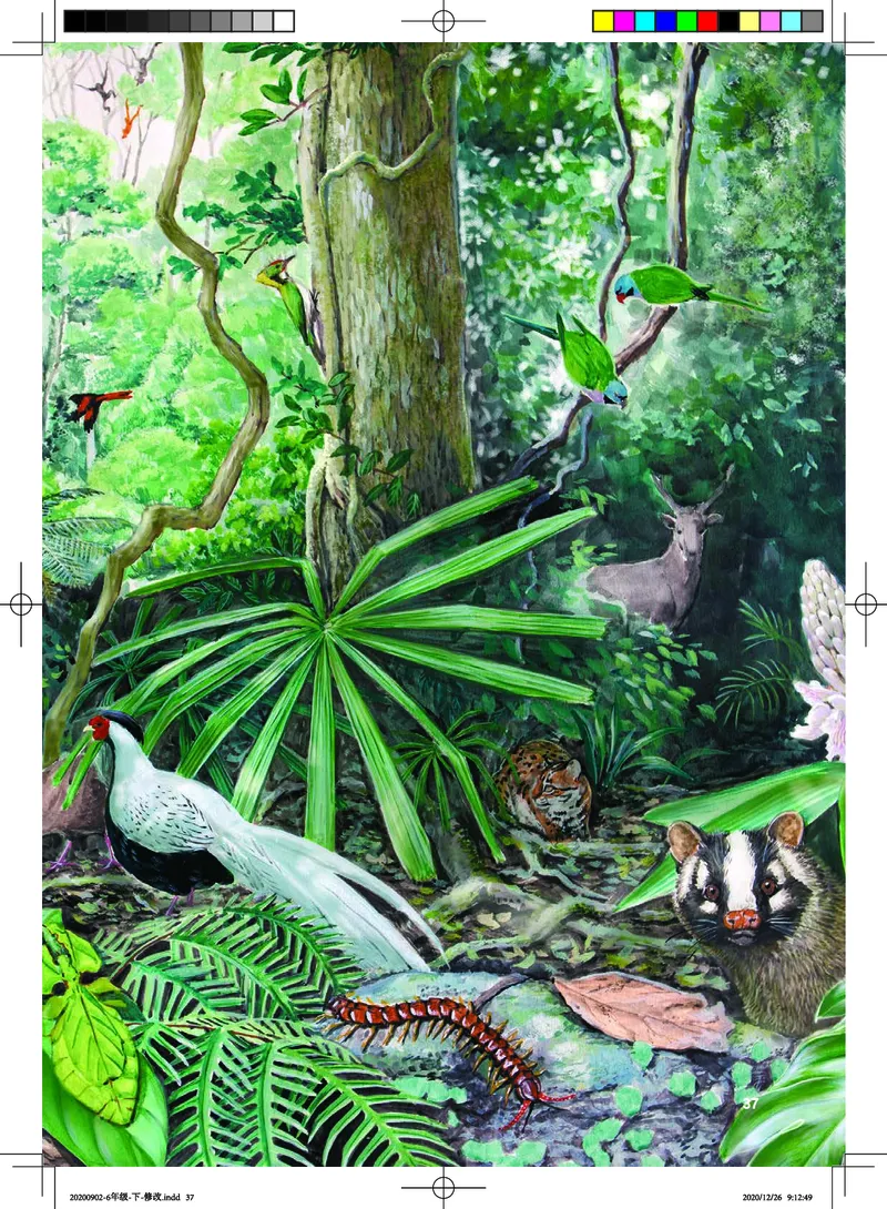 教科版6年级科学下册高清教材_全部版本&bull;小学科学电子课本_教科版小学科学电子课本