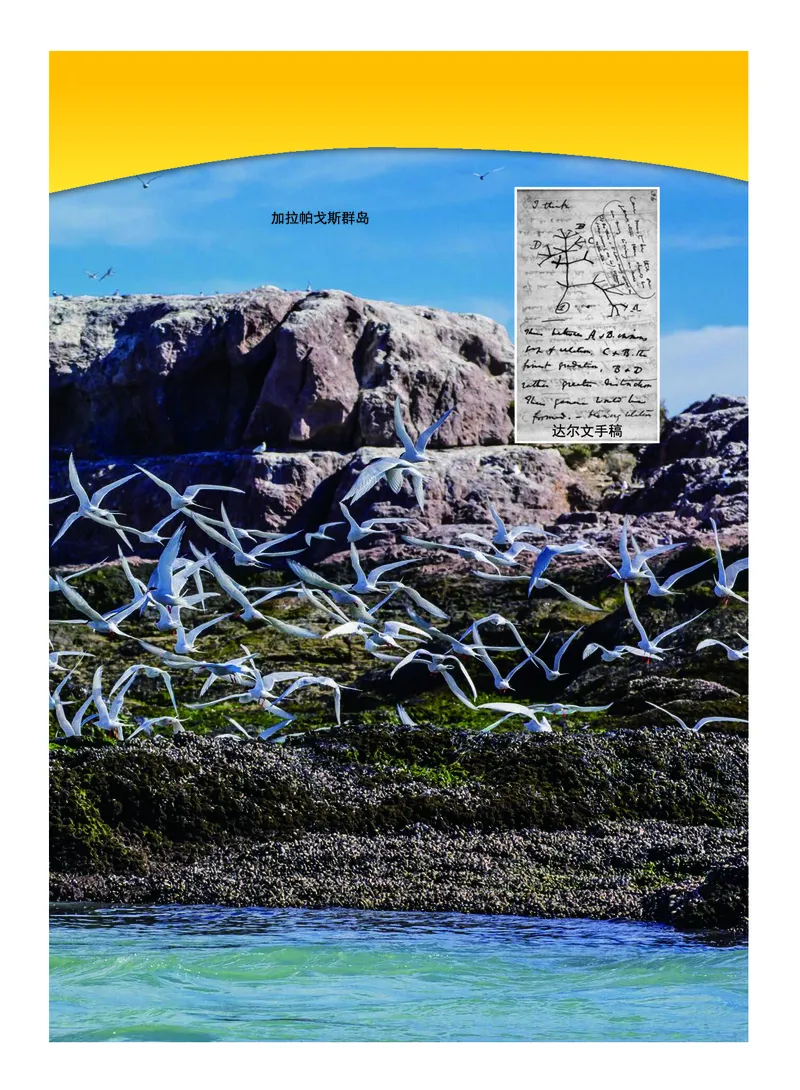 教科版6年级科学下册高清教材_全部版本&bull;小学科学电子课本_教科版小学科学电子课本