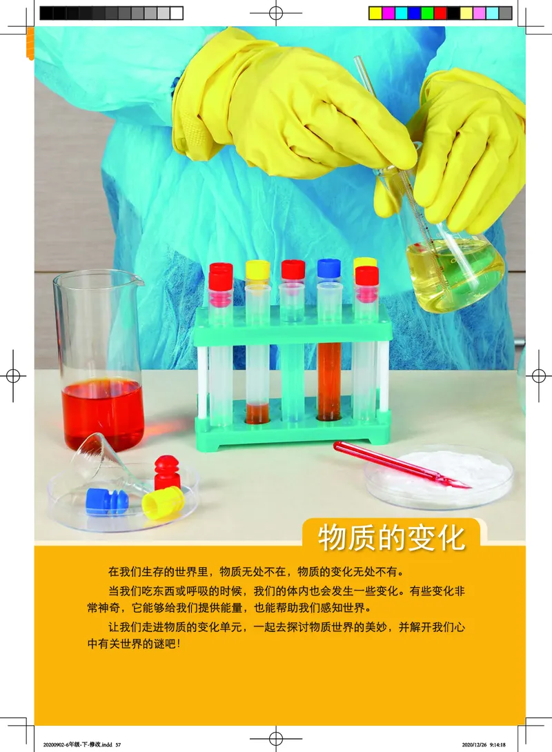 教科版6年级科学下册高清教材_全部版本&bull;小学科学电子课本_教科版小学科学电子课本