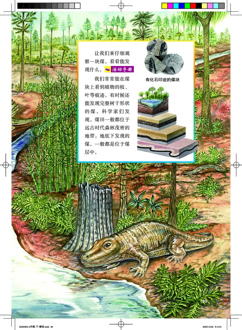 教科版6年级科学下册高清教材_全部版本&bull;小学科学电子课本_教科版小学科学电子课本