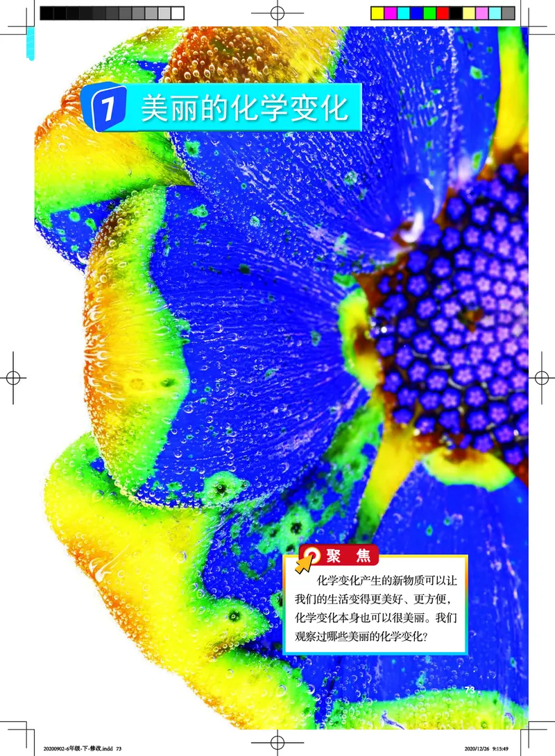 教科版6年级科学下册高清教材_全部版本&bull;小学科学电子课本_教科版小学科学电子课本
