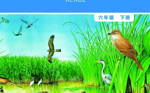 教科版6年级科学下册高清教材_全部版本&bull;小学科学电子课本_教科版小学科学电子课本
