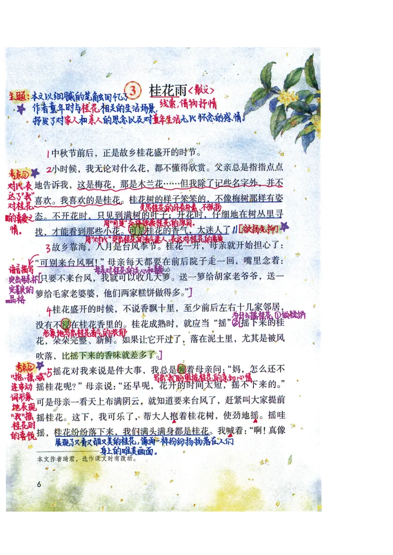 四升五语文课堂笔记_小学全网线上同款资料_k92_语文