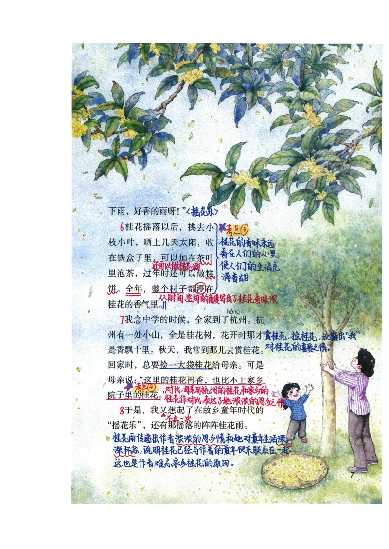 四升五语文课堂笔记_小学全网线上同款资料_k92_语文