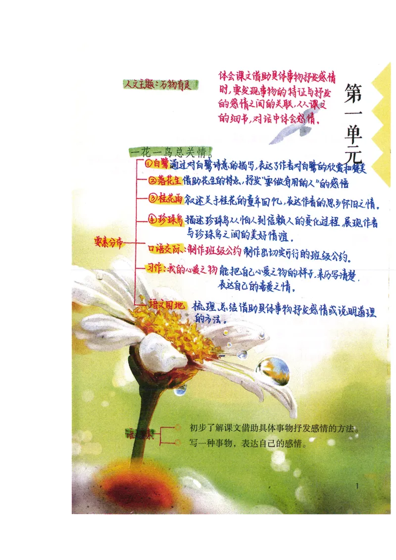 四升五语文课堂笔记_小学全网线上同款资料_k92_语文