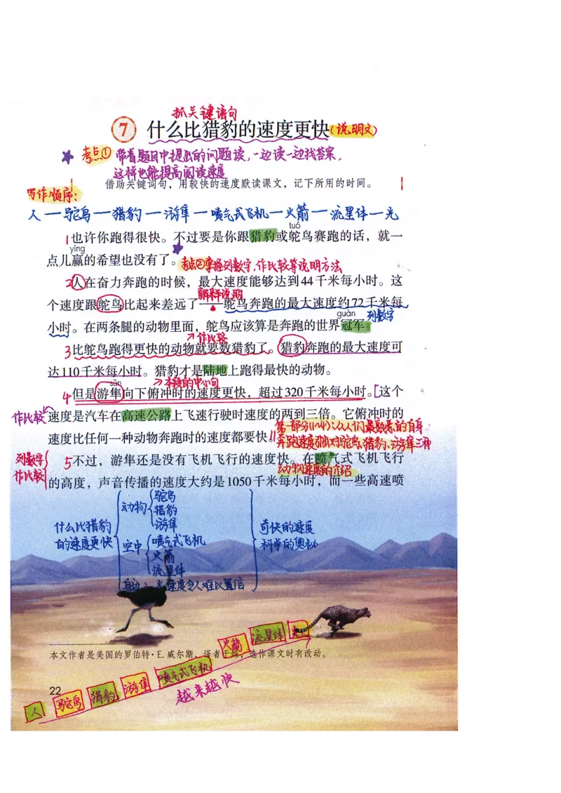 四升五语文课堂笔记_小学全网线上同款资料_k92_语文