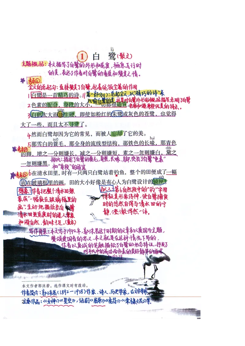 四升五语文课堂笔记_小学全网线上同款资料_k92_语文