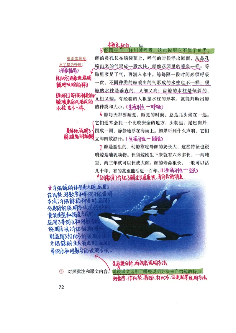 四升五语文课堂笔记_小学全网线上同款资料_k92_语文