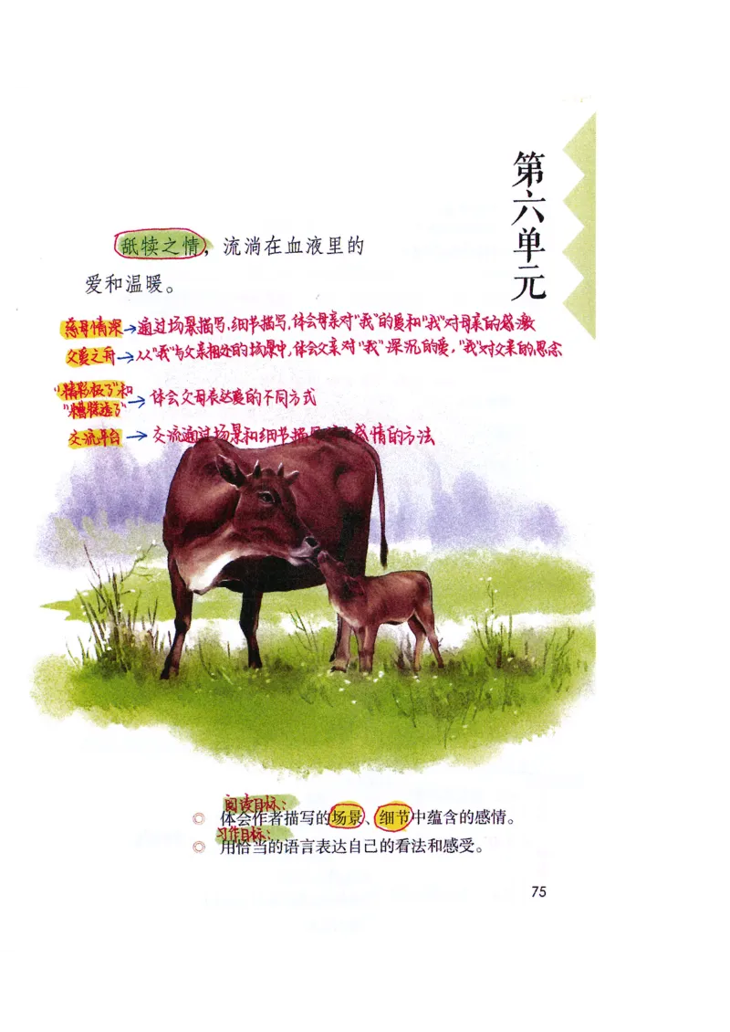 四升五语文课堂笔记_小学全网线上同款资料_k92_语文