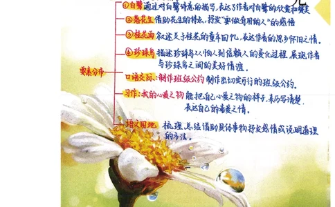 四升五语文课堂笔记_小学全网线上同款资料_k92_语文