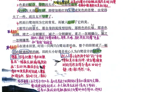 四升五语文课堂笔记_小学全网线上同款资料_k92_语文