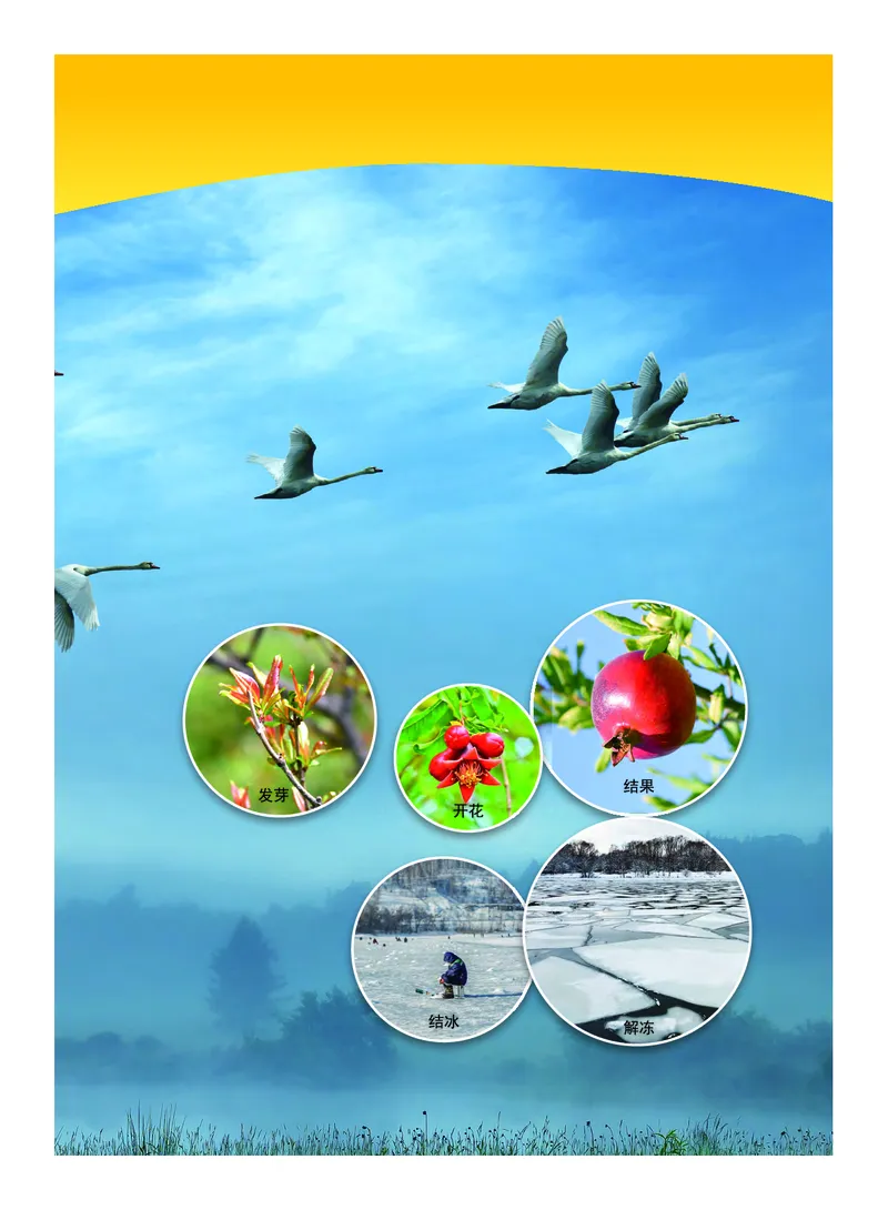 教科版3年级科学上册高清教材_全部版本&bull;小学科学电子课本_教科版小学科学电子课本