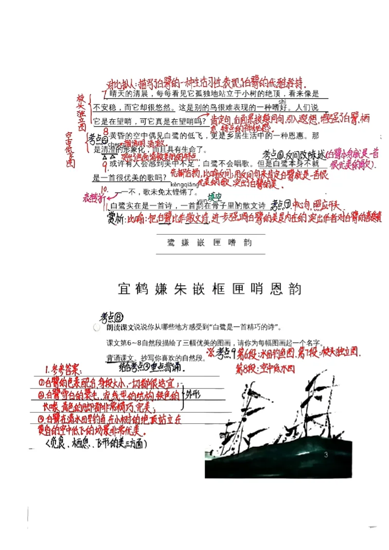 五上手写课堂笔记（1）持续更新_小学全网线上同款资料_k92_语文_五上语文每课考点预习＋复习