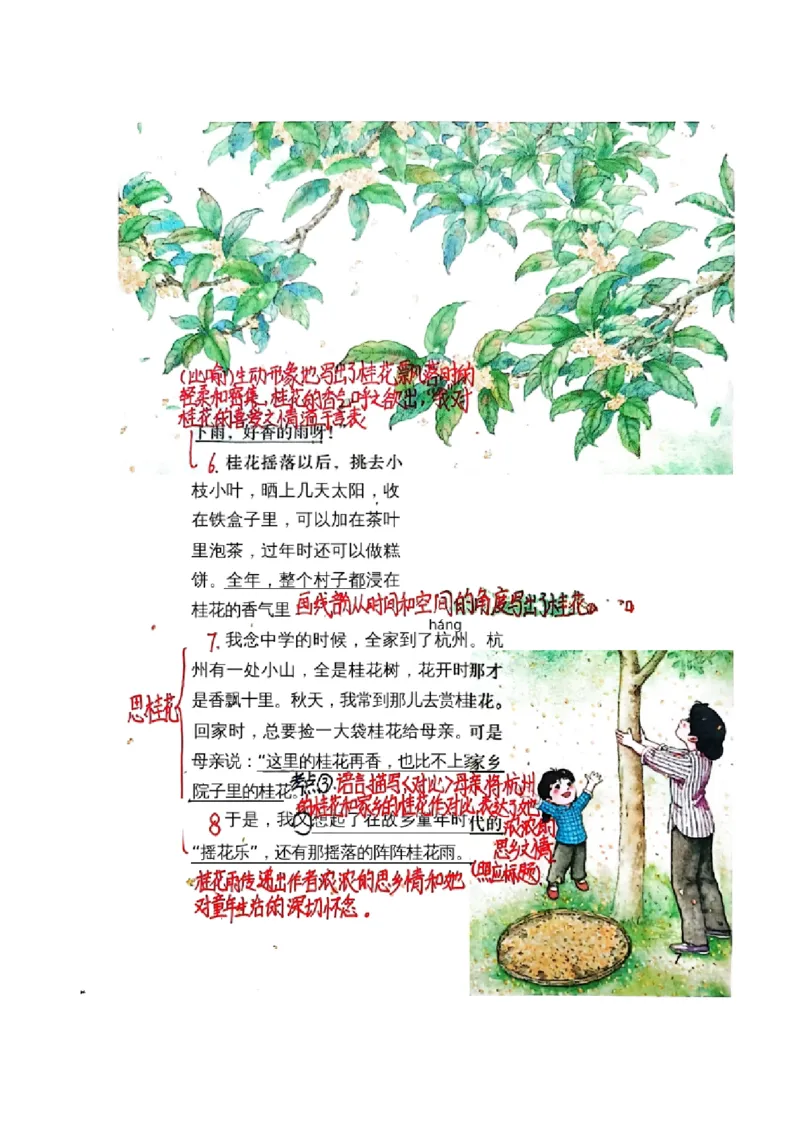 五上手写课堂笔记（1）持续更新_小学全网线上同款资料_k92_语文_五上语文每课考点预习＋复习