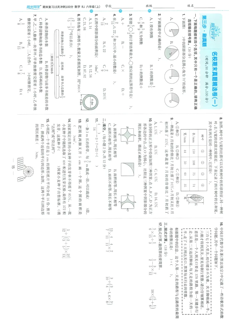 试卷数学RJ6上-A4_25秋《阳光同学期末复习》_数学人教123456_25秋阳光同学期末复习15天冲刺100分人教数学6上