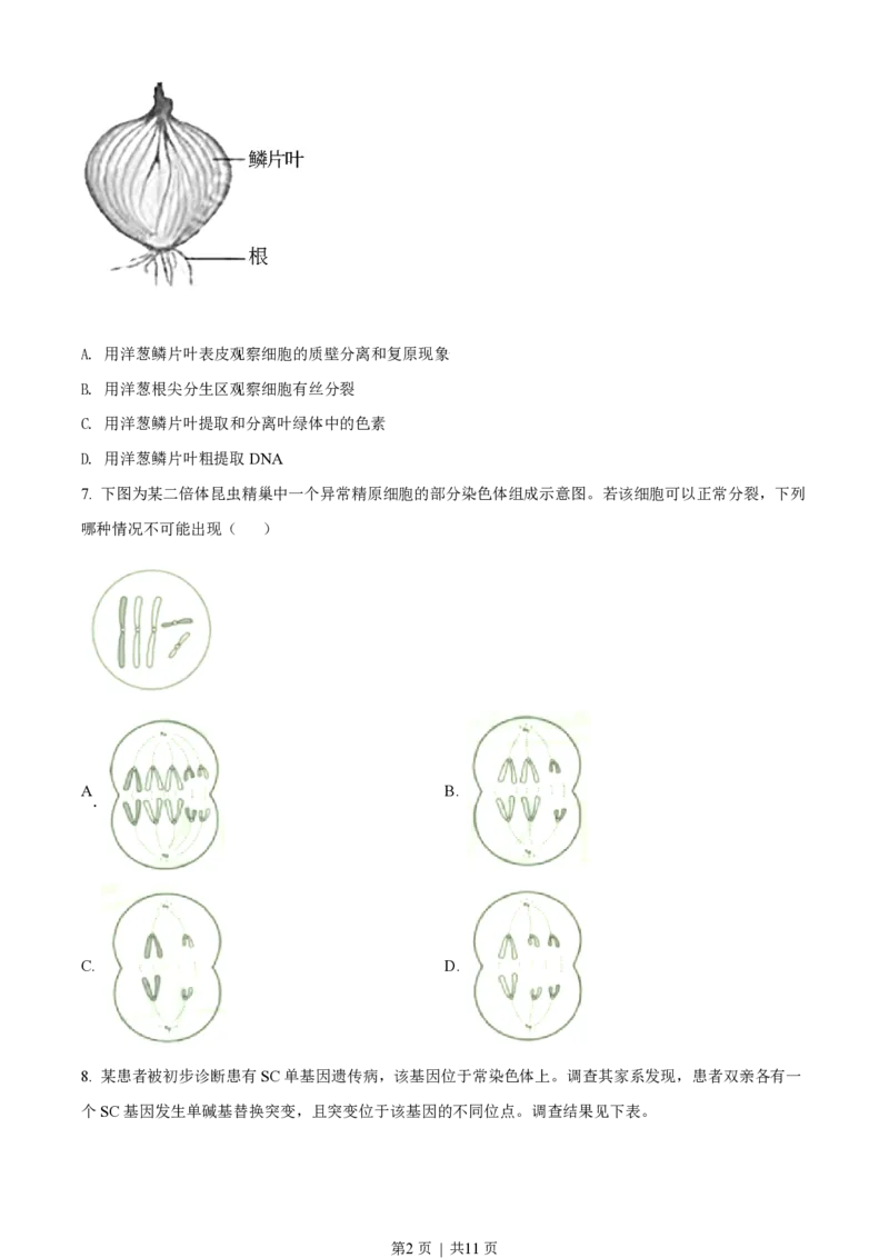 2021年高考生物试卷（天津）（空白卷）_生物历年高考真题_新&middot;PDF版2008-2025&middot;高考生物真题_生物（按试卷类型分类）2008-2025_自主命题卷&middot;生物（2008-2025）_天津自主命题&middot;生物（2008-2024）