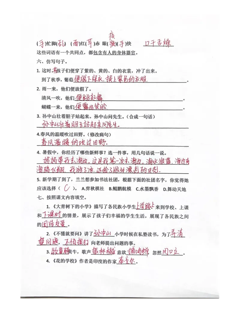 期末总复习-每日默写小纸条三上语文_3年级小红书最新热门资料