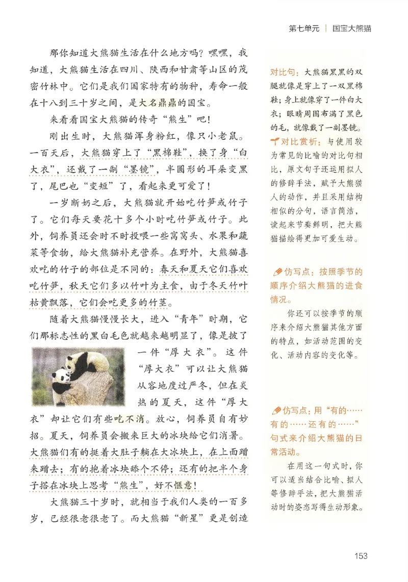 2025春开心作文同步作文三年级下册_三年级上下册资料_53黄冈多个品牌系列资料_语文