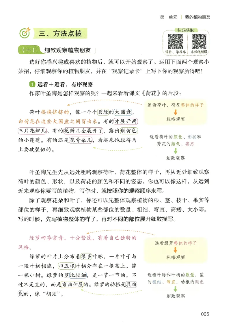 2025春开心作文同步作文三年级下册_三年级上下册资料_53黄冈多个品牌系列资料_语文