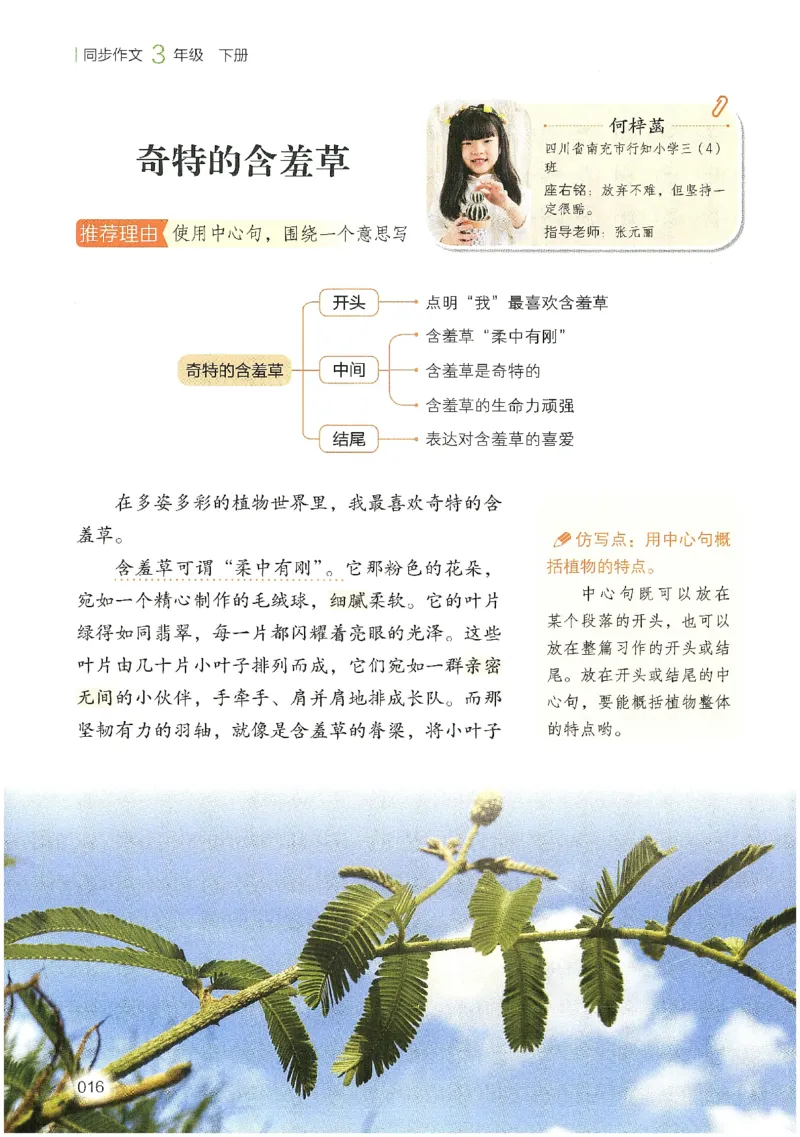 2025春开心作文同步作文三年级下册_三年级上下册资料_53黄冈多个品牌系列资料_语文