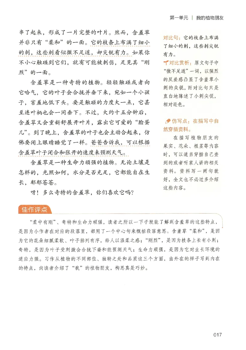 2025春开心作文同步作文三年级下册_三年级上下册资料_53黄冈多个品牌系列资料_语文