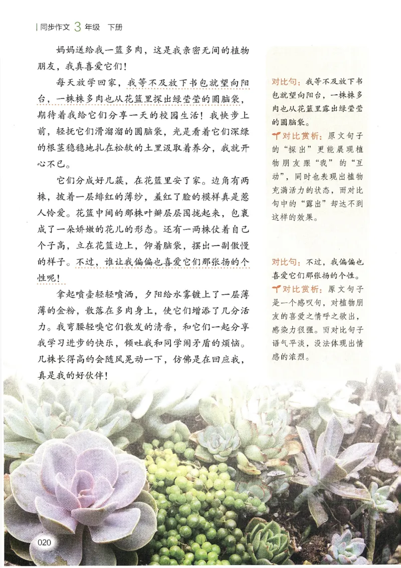 2025春开心作文同步作文三年级下册_三年级上下册资料_53黄冈多个品牌系列资料_语文