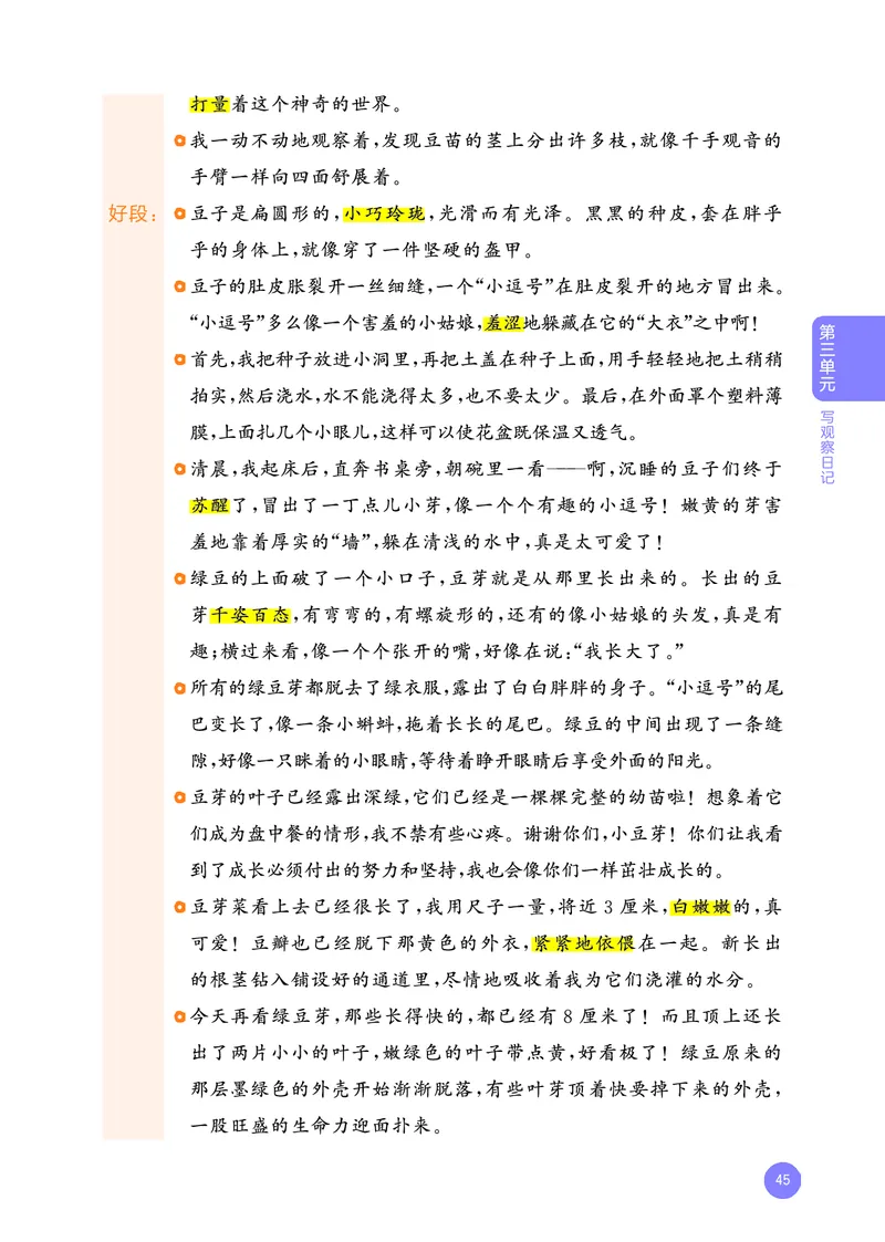 25秋53小学基础练四上作文素材大全语文_25秋53小学基础练3-6上作文素材大全语文