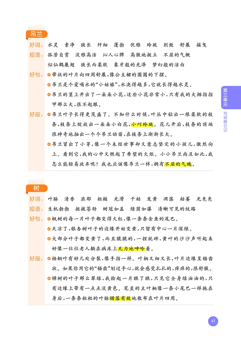 25秋53小学基础练四上作文素材大全语文_25秋53小学基础练3-6上作文素材大全语文