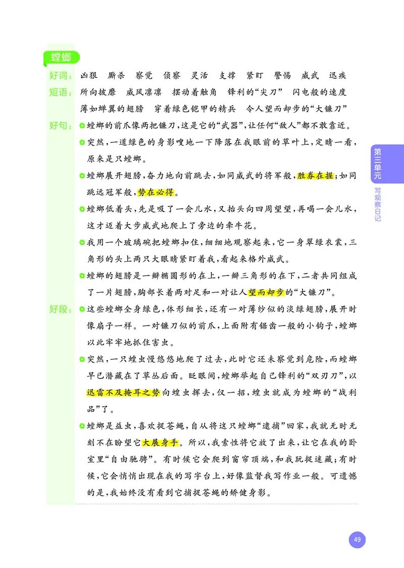 25秋53小学基础练四上作文素材大全语文_25秋53小学基础练3-6上作文素材大全语文