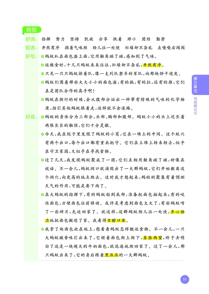 25秋53小学基础练四上作文素材大全语文_25秋53小学基础练3-6上作文素材大全语文