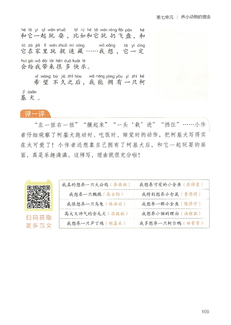 25春开心作文同步看图写话二年级下册_二年级上下册资料_53黄冈多个品牌系列资料_语文